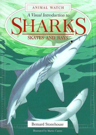 9780816039241: A Visual Introduction to Sharks: Skates and Rays (Animal Watch)