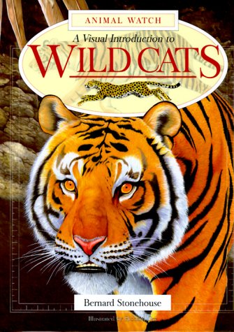 Stock image for Wild Cats (Animal Watch) for sale by AwesomeBooks