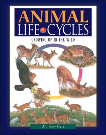 Imagen de archivo de Animal Life Cycles: Growing Up in the Wild a la venta por ThriftBooks-Dallas