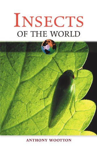 Stock image for Insects of the World (Of the World Series) for sale by Reuseabook