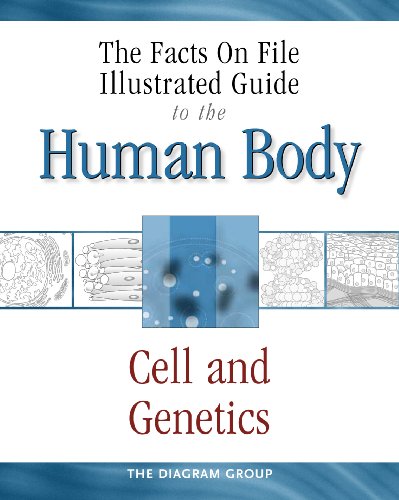 Imagen de archivo de The Facts On File Illustrated Guide To The Human Body:Cells and Genetics a la venta por GuthrieBooks