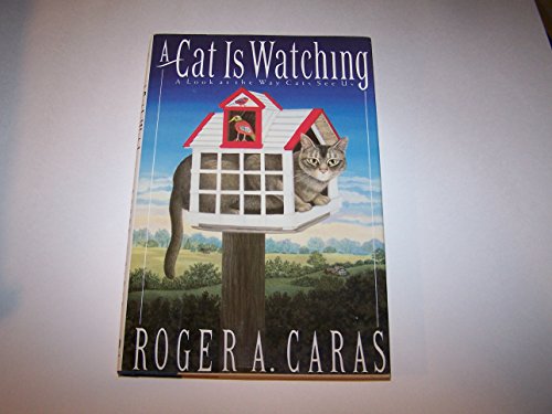 Stock image for A Cat Is Watching : A Look at the Way Cats See Us for sale by Better World Books