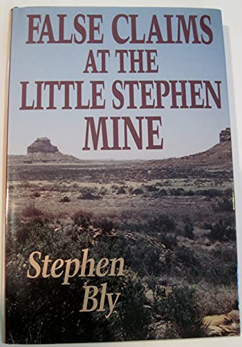 9780816174058: False Claims at the Little Stephen Mine