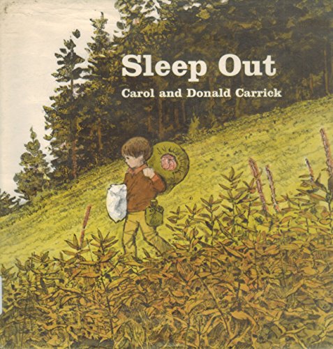 Stock image for Sleep out for sale by The Book Beast