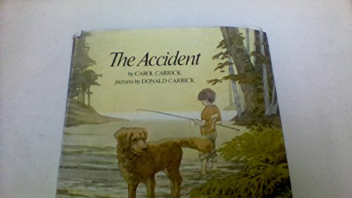 9780816431724: The accident