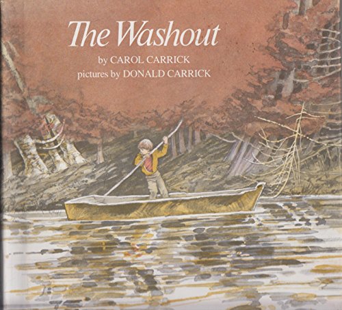 The Washout (9780816432172) by Carol Carrick
