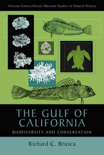 Stock image for THE GULF OF CALIFORNIA : BIODIVERSITY AND CONSERVATION (ARIZON-SONORA DESERT MUSEUM STUDIES IN NATURAL HISTORY) for sale by Second Story Books, ABAA