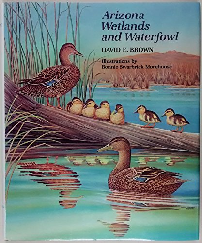 Beispielbild fr Arizona Wetlands and Waterfowl zum Verkauf von Object Relations, IOBA