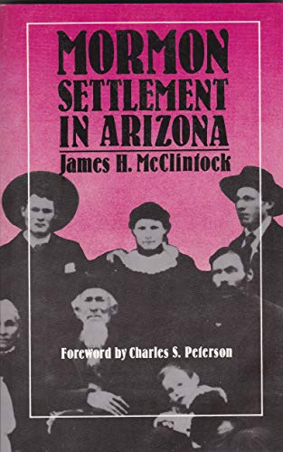 Beispielbild fr Mormon Settlement in Arizona zum Verkauf von Dailey Ranch Books