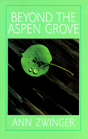 Imagen de archivo de Beyond the Aspen Grove a la venta por Works on Paper