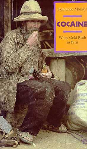 Beispielbild fr Cocaine: White Gold Rush in Peru zum Verkauf von BooksRun