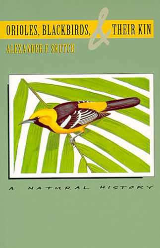 Beispielbild fr Orioles, Blackbirds, and Their Kin : A Natural History zum Verkauf von Better World Books