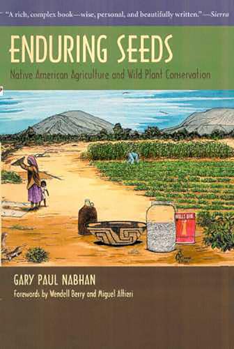 Imagen de archivo de Enduring Seeds: Native American Agriculture and Wild Plant Conservation a la venta por kelseyskorner