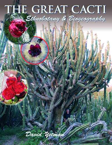 9780816524310: The Great Cacti: Ethnobotany & Biogeography
