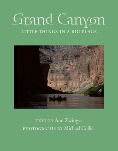 Beispielbild fr Grand Canyon: Little Things in a Big Place (Desert Places) zum Verkauf von Wonder Book