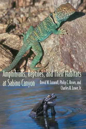 Stock image for Amphibians, Reptiles, and Their Habitats at Sabino Canyon for sale by Walther's Books