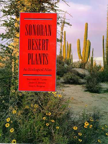 9780816525195: Sonoran Desert Plants: An Ecological Atlas