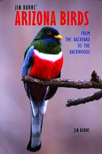 Jim Burns' Arizona Birds: From the Backyard to the Backwoods (9780816526444) by Burns, Jim