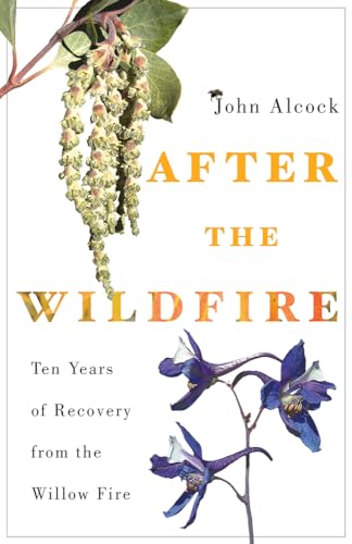 Imagen de archivo de After the Wildfire: Ten Years of Recovery from the Willow Fire a la venta por Goodwill of Colorado