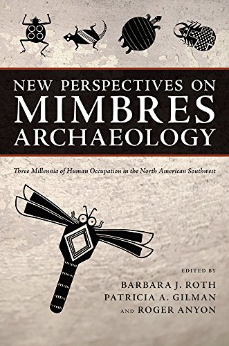 Beispielbild fr New Perspectives on Mimbres Archaeology: Three Millennia of Human Occupation in the North American Southwest zum Verkauf von GF Books, Inc.