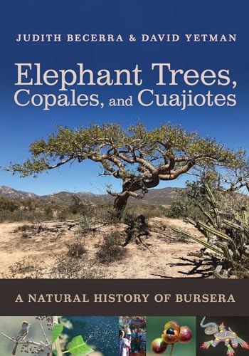 Stock image for Elephant Trees, Copales, and Cuajiotes: A Natural History of Bursera for sale by GF Books, Inc.