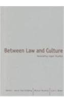 Between Law And Culture: Relocating Legal Studies (9780816633807) by Goldberg, David Theo