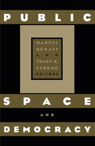 9780816633883: Public Space And Democracy