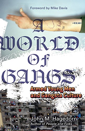 9780816650668: A World of Gangs: Armed Young Men and Gangsta Culture (Globalization and Community)