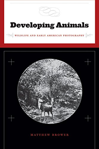 Beispielbild fr Developing Animals: Wildlife and Early American Photography zum Verkauf von Midtown Scholar Bookstore