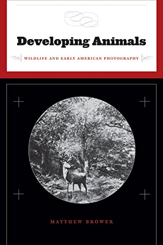 9780816654789: Developing Animals: Wildlife and Early American Photography