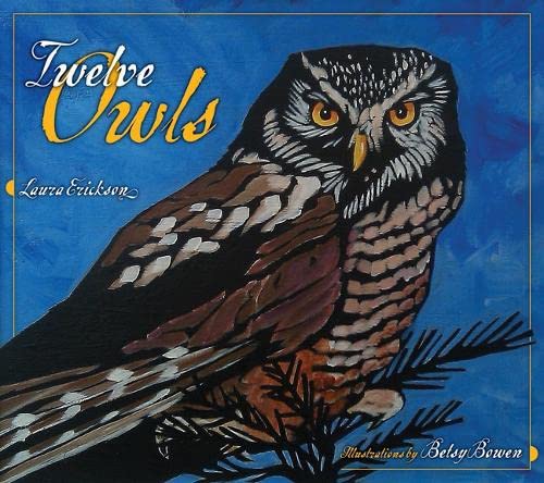 Imagen de archivo de Twelve Owls a la venta por Goodwill