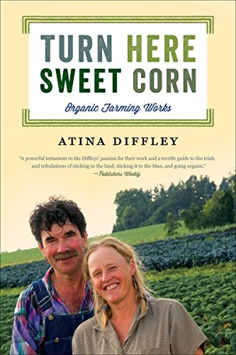 9780816677719: Turn Here Sweet Corn: Organic Farming Works (Fesler-Lampert Minnesota Heritage)