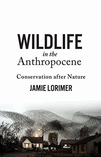 Beispielbild fr Wildlife in the Anthropocene zum Verkauf von Blackwell's