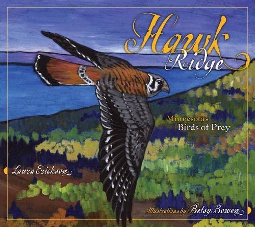 Stock image for Hawk Ridge: Minnesota's Birds of Prey for sale by Irish Booksellers