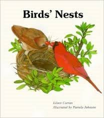 Beispielbild fr Bird's Nest zum Verkauf von Wonder Book