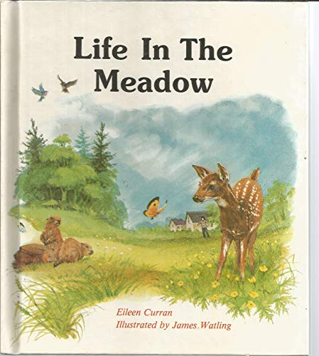 Imagen de archivo de Life in the Meadow a la venta por Wonder Book