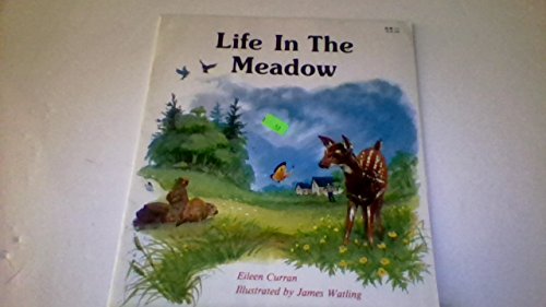 Beispielbild fr Life in the Meadow zum Verkauf von Wonder Book