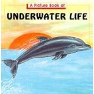 Stock image for A Picture Book of Underwater Life for sale by More Than Words