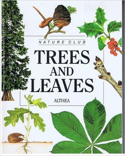 Stock image for Trees & Leaves - Pbk (Nature Club) for sale by Once Upon A Time Books