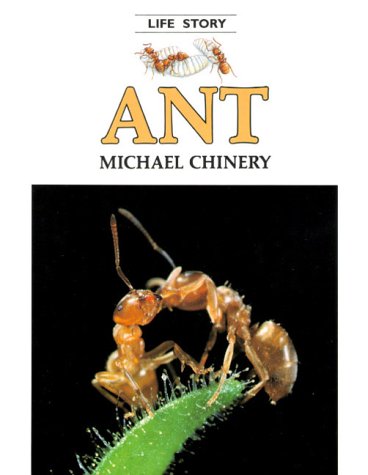 Stock image for Ant for sale by Better World Books: West