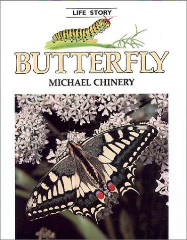 Beispielbild fr Butterfly zum Verkauf von Better World Books