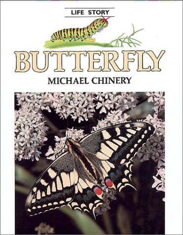 Stock image for Butterfly for sale by Better World Books