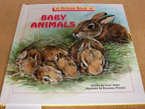 9780816724680: A Picture Book of Baby Animals