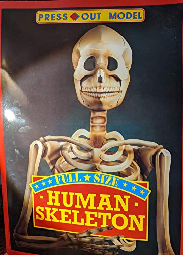 Human Skeleton (Press Out Model) (9780816725755) by Cowley, Stewart; Jones, Barry; Doyle, Pat