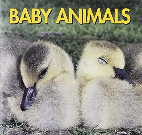 Beispielbild fr Baby Animals zum Verkauf von Alf Books