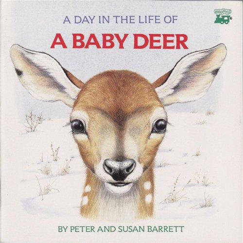 Beispielbild fr A Day in the Life of a Baby Deer: The Fawn's First Snowfall zum Verkauf von Wonder Book