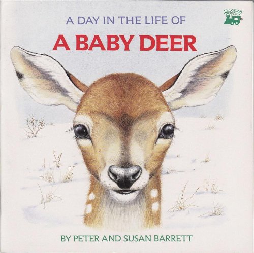 Stock image for A Day in the Life of a Baby Deer: The Fawn's First Snowfall for sale by Wonder Book