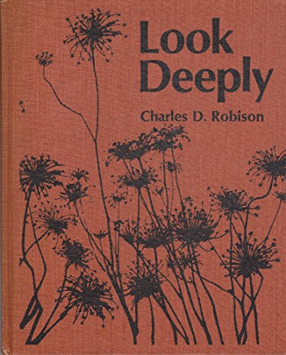 Stock image for Look Deeply : Prayers and Photos. for sale by Better World Books