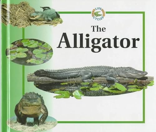 9780817243753: The Alligator (Life Cycles)