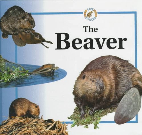 Imagen de archivo de The Beaver a la venta por Better World Books